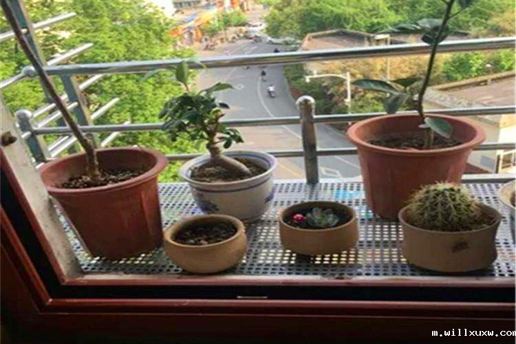 冲孔网板 花盆垫板