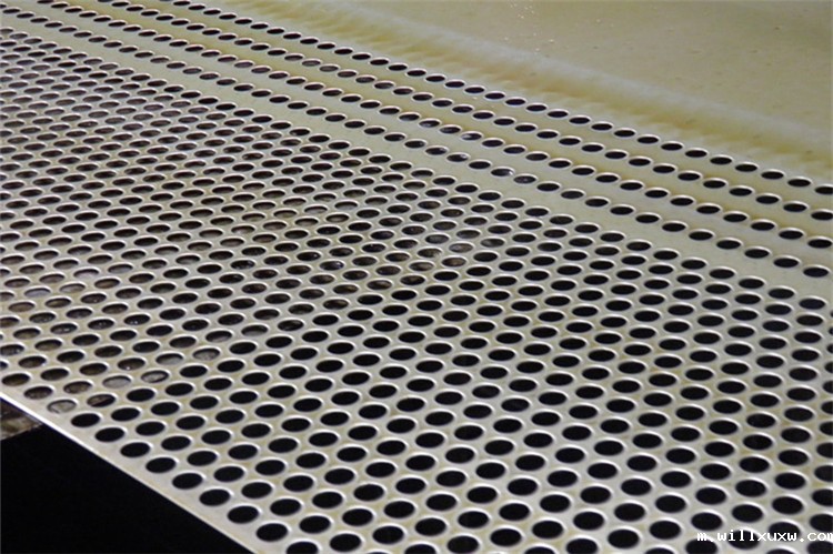 华体汇体育大厅 冲孔网板