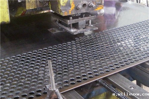 华体汇体育大厅