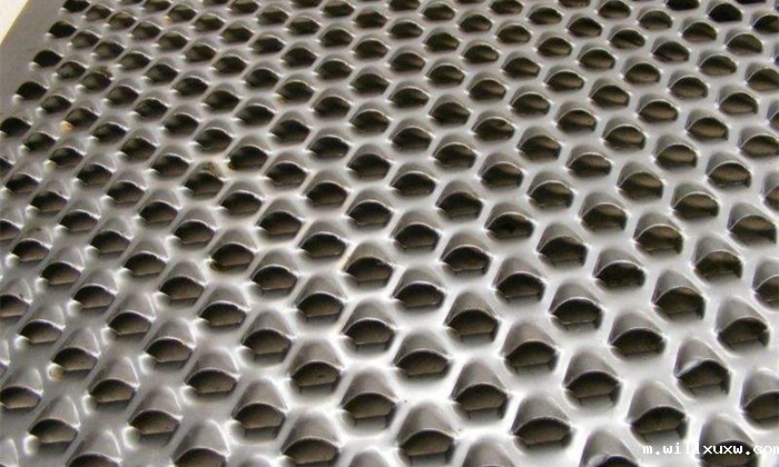 鱼鳞孔筛板